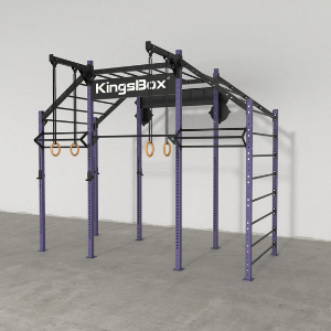 Custom Workout Rigs Custom Gym Rigs - Bespoke Gym & CrossFit Rigs - UK Fitness Equipment ...